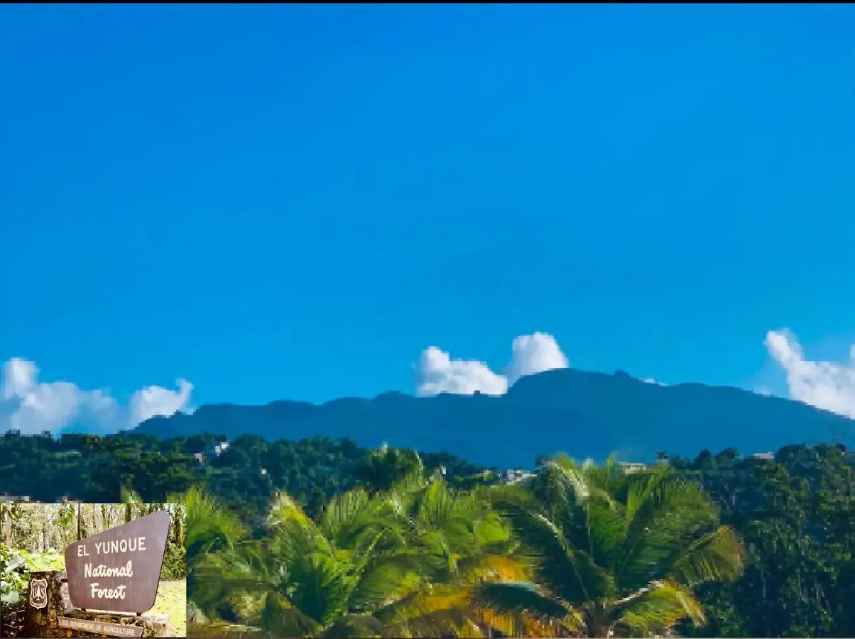 Come, Enjoy & Relax Bosque Del Mar 1 Rio Grande, Pr Apartment