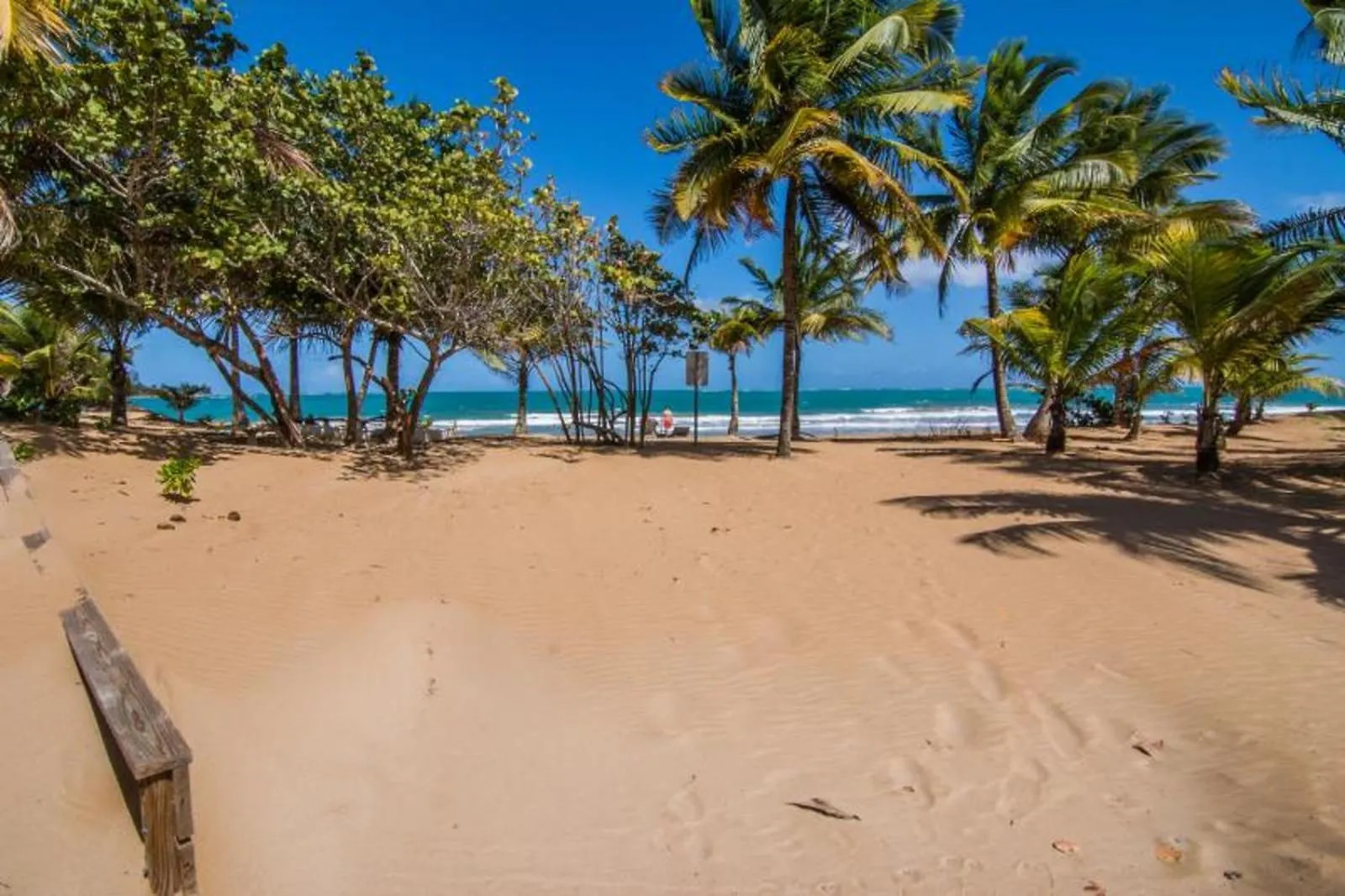 Come, Enjoy & Relax Bosque Del Mar 1 Rio Grande, Pr Apartment